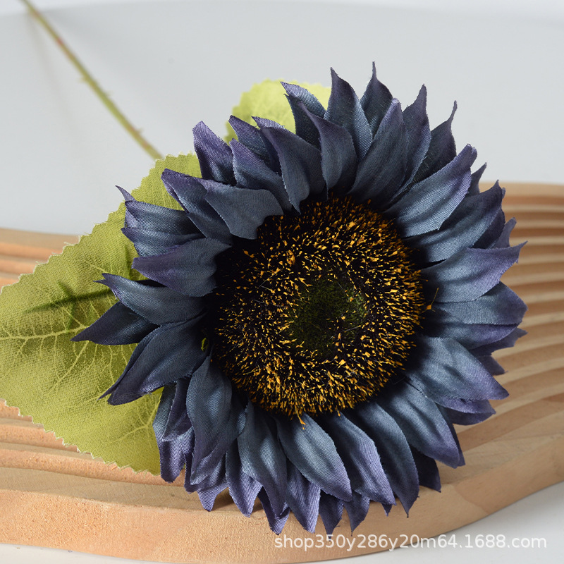 Nuevo girasol azul profundo