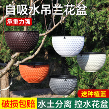 藤编塑料花盆欧式吊兰盆挂盆室内悬挂式树脂花盆批发蜂窝吊篮盆