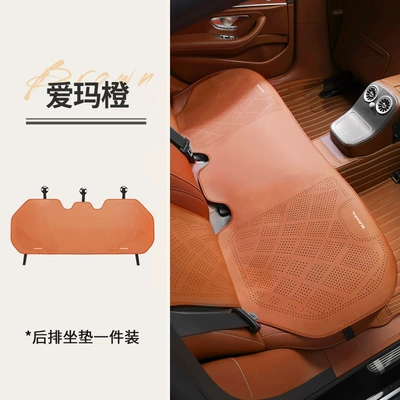 Dog Plus/Raptor/Xiaolong Max/H6/H9/H5/M6, special Seat cushion, seat cover - love-horse-orange1-rear-seat-base