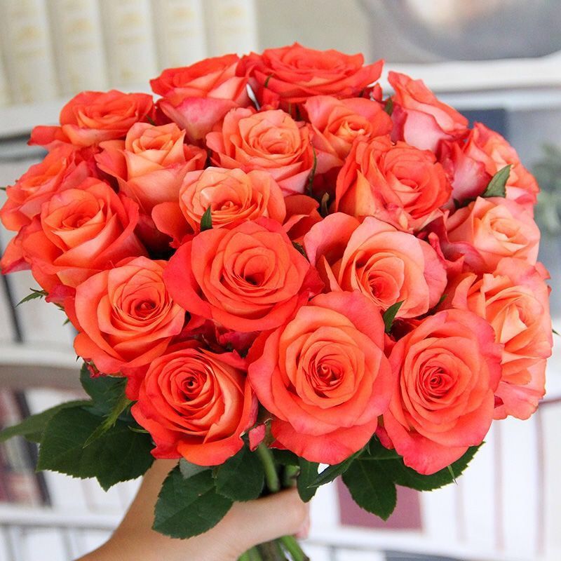 d2821f0e-acd2-444f-9d66-6d1ada5335b5.jpe