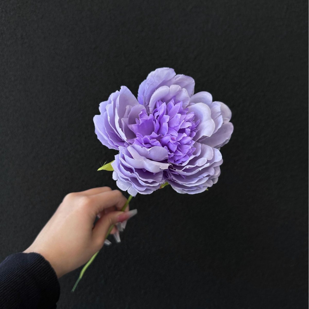 보라색