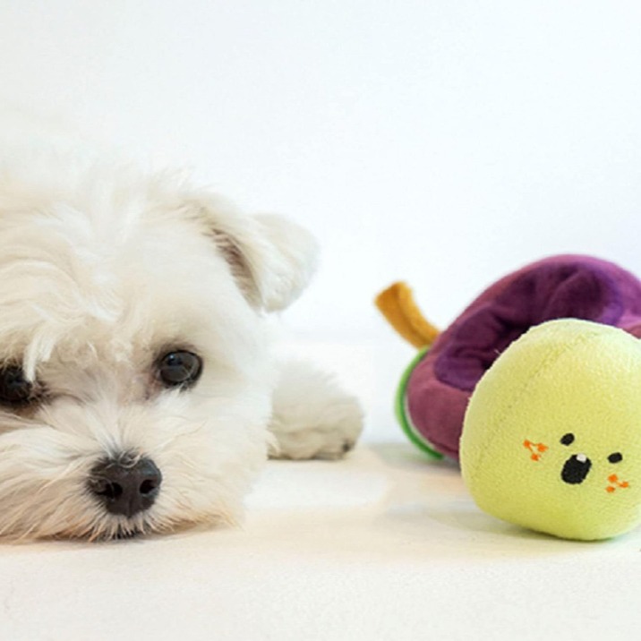 跨境新款Snuffle Dog Toys创意毛绒葡萄狗狗嗅闻啃咬磨牙宠物玩具