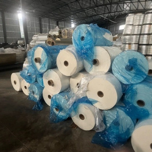 Pet Film Polyester Film Matte Film Printing Film 12U White Packaging Film Laminating Corona Manufacturer Direct