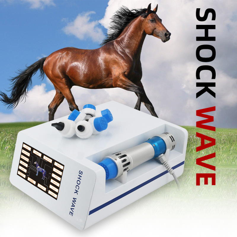 外国貿易専用衝撃波理学療法器焦点式痛み緩和競馬場動物用体外マッサージ器|undefined