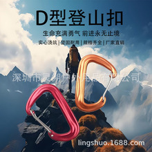 铝合金登山扣D形型快挂户外登山钩爬山水壶扣LED灯扣背包挂扣