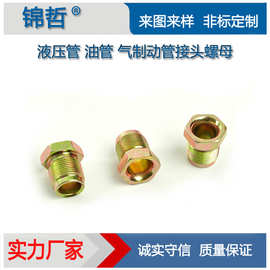 定制 液压接头 高压油气制动油管螺母接头 非标加工厂家货源价格