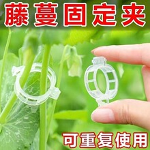 �����A�Gֲ����ֲ��̶��A���۹̶�����������֧�ΗU���������A