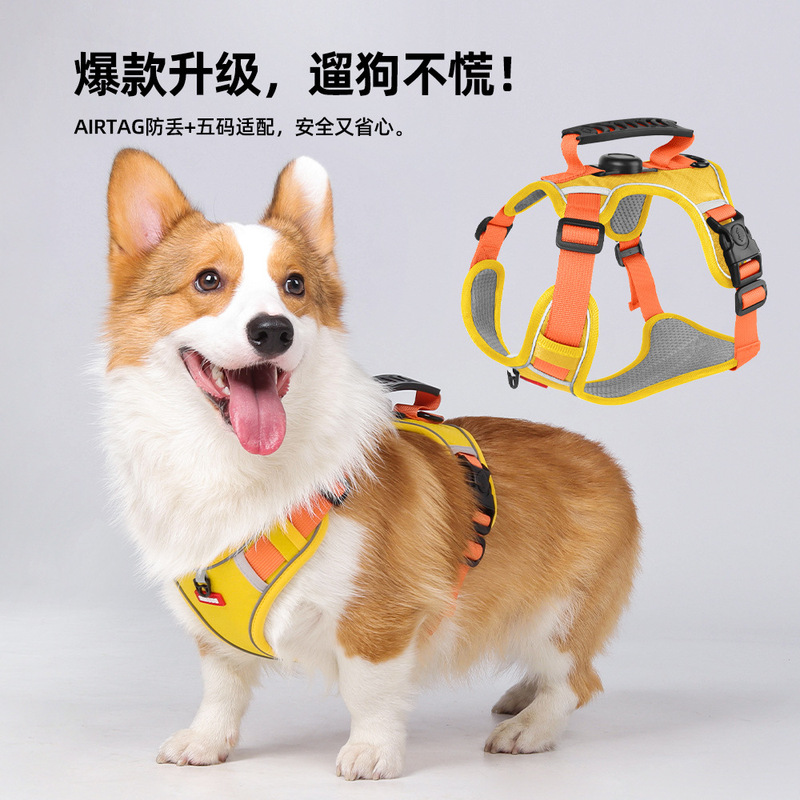 新款可装定位器狗狗牵引绳中小型犬狗狗胸背带可提拉反光遛狗绳子|undefined