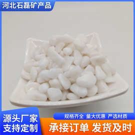 厂家批发白色鹅卵石 机制碎石盆栽铺路用水磨石白石子2-3公分