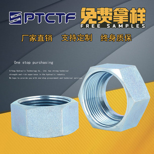 NL NSҺ��������ĸ���D�ķ������p�Ϳ���ʽ��ñ�iĸ���P�̼�