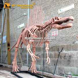 热销超大型仿真恐龙化石 玻璃钢恐龙化石板 可来图制作
