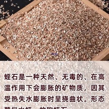 ��ʯ�w��Ǥ���¼��������B���Þ�������������ʯ�I�B�������