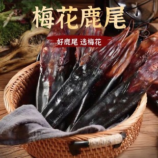 2026�¿�����÷��¹¹β���Ԝ��a�����p�÷��¹¹β����r��