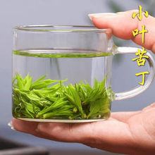 新茶小叶苦丁 四川宜宾青山绿水花草茶毛冬青复活茶叶包邮