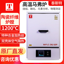 ���̩˹��MFLC-2/12D��ʽ���t�ߜ��մ��R���t�ɳ�ʽ1200&deg;C