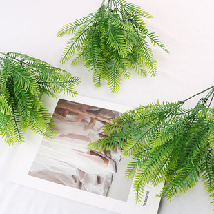 Rdֲ735Ŀ˹~Pβާ~ƬbپGֲ