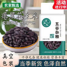 新货瘪黑花生米瘪粒小秕仁晒干花生干瘪黑花生无壳一件代发