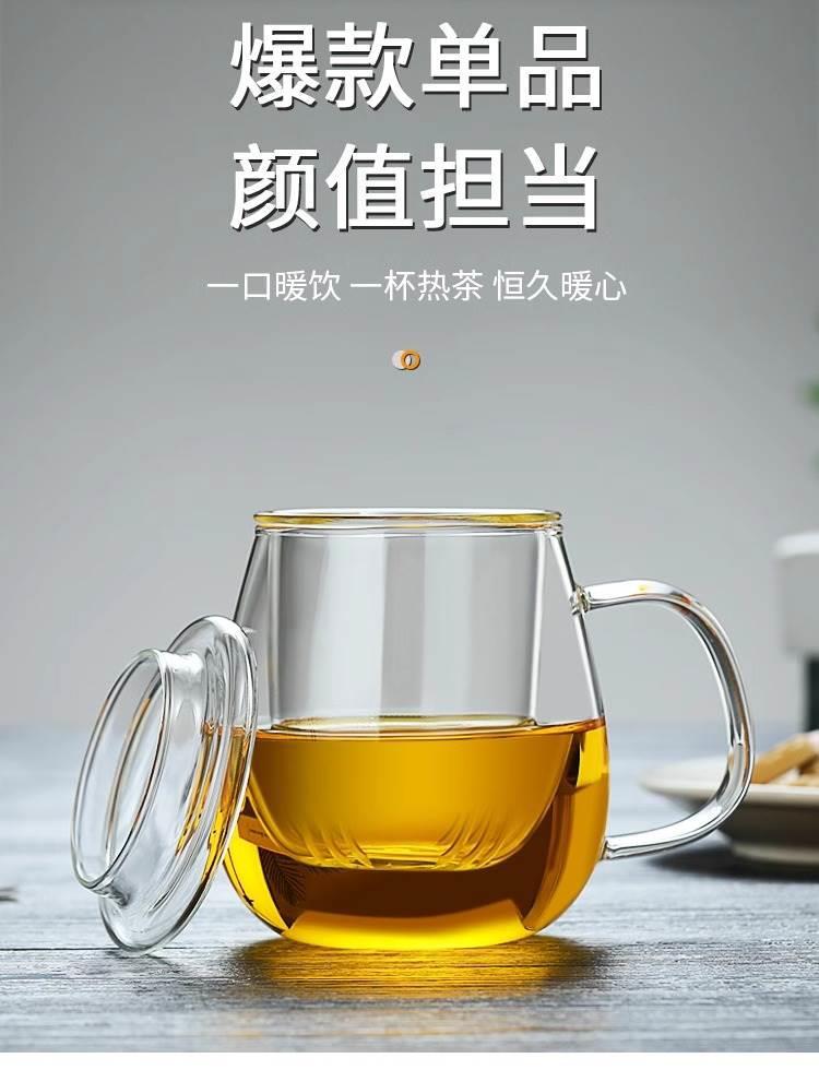 Heat-Resistant Glass Tea Tumbler 350ml with Infuser and Straw for Loose Leaf and Flower Tea overview