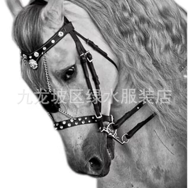 2023 трансграничные принадлежности для конного спорта Европейская и американская мода кожаная голова парохода желание лошадь снаряжение металлическая крышка клетки для лошадей