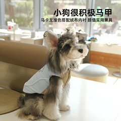 狗狗秋冬时尚马甲新款加厚中小型犬宠物衣服日常户外出行热销爆款