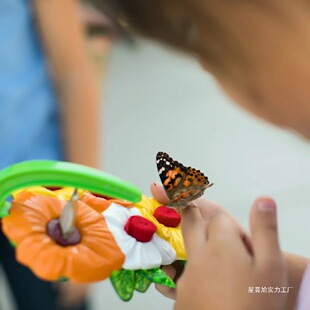 Insect Lore����ι�B�������bιˮ����ιʳ�� ��ͯ�W���ƌW�^��
