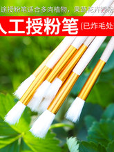 �˹��ڷ۹P�ڷ�����ݮ�������t���o�������ڷ۹��߻����c���ڷ�ˢ