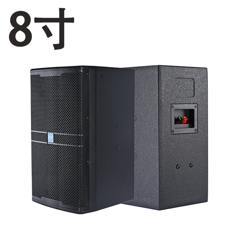 Un altavoz de frecuencia completa de 8 pulgadas (imán de neodimio)