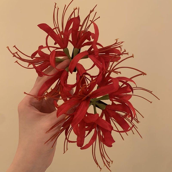 Red hairgrip for beloved
