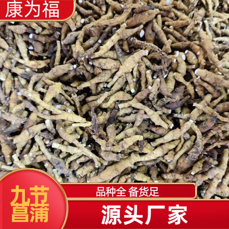 Jiu Jie Chang Pu (Anemone altaica) — Dried Rhizome, Powder Option, Food Herb key features