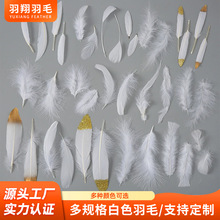 多规格白色羽毛现货 diy鹅毛火鸡毛鸡毛毛铁丝花装饰材料服饰辅料