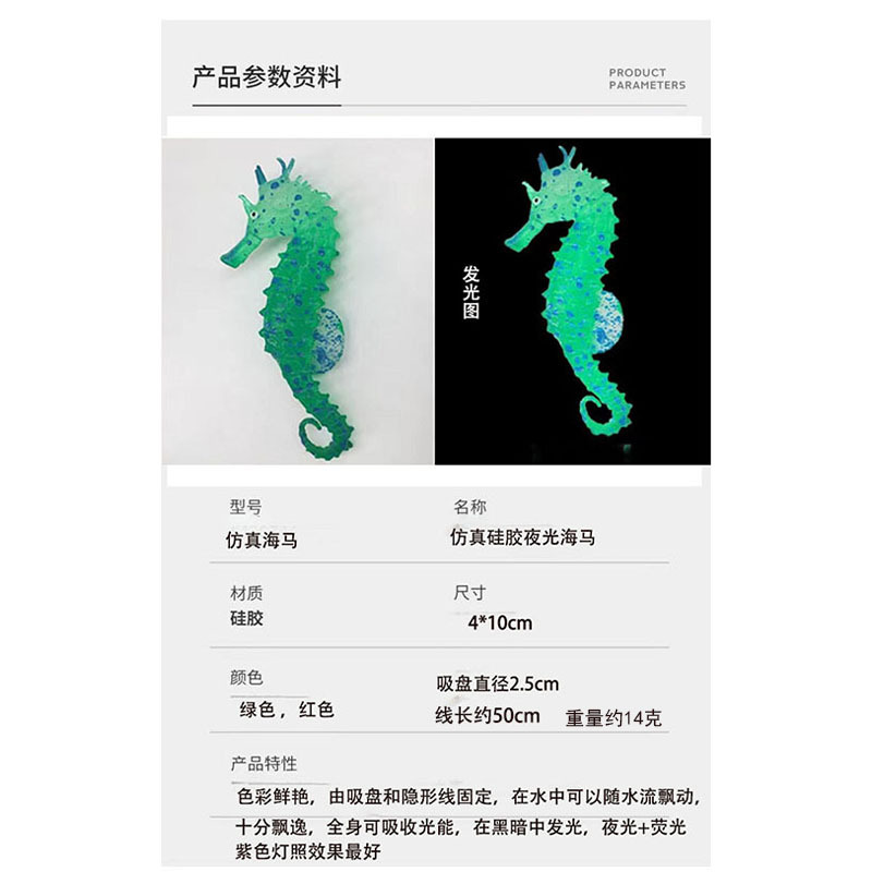 海马.jpg