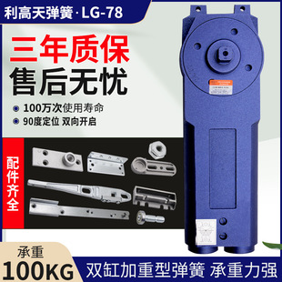 Lg78 Hydraulic Spring Double Cylinder Inverted Floor Spring Framed Glass Door Steel Door Wooden Door Hidden Concealed Door Shaft