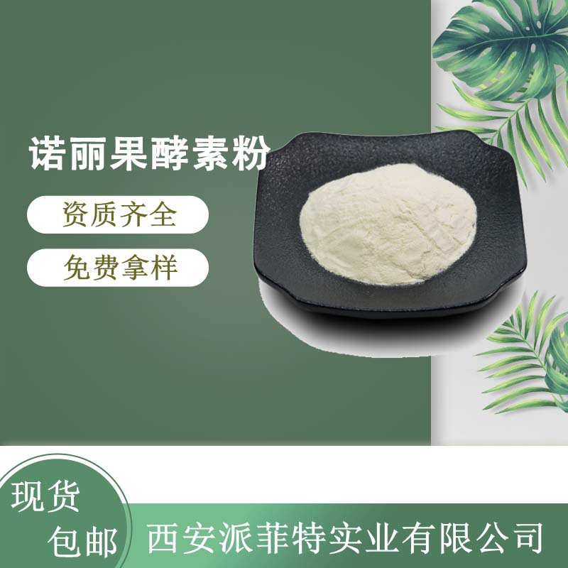 诺丽果酵素粉 海巴戟 海巴戟天 诺丽果 99% 食品级 代餐粉