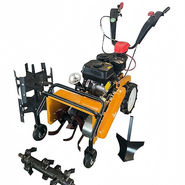 2025-09-22 15:51:43.jpg