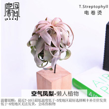 �՚��P��Ť�~�F�m늾��C�o��ֲ���҃ȿ͏d���ԾGֲ���ܿ��P��x