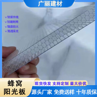 Wedding Partition Outdoor Carport Rain Shed Awning Greenhouse Greenhouse 12mm Milky White Hollow Pc Honeycomb Sunshine Board Factory