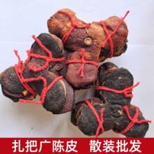 ���l����V�Ƥɢ�b�Ƥ�ɳ������Ƥ����Ƥ�Ƥ�z�Ҝ���ˮ