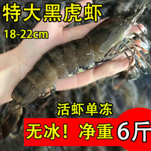 �ڻ��r�r���ϻ��r�ك��߹��r��o���Ź��r������r�����r