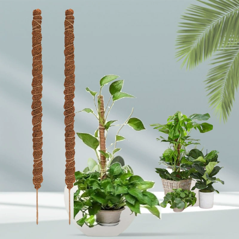 Садовая опора для потхоса, палка для скалолазания с кокосовой пальмой и липучкой, цветочный горшок, ворс для растений, опорная рама для растений, палка для скалолазания