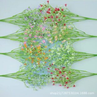 ���滢�m�M�����Ĕz���ߔ[����Yϵ����廨��c�b����z�廨�[�O