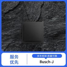 B Busch-Jaeger  _P 5913-1019 B