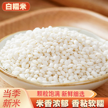 Ŵ؛ϼ҈AŴɢbrŴ׽׾ᄰsZ