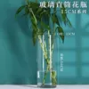 Jingjian's mouth diameter is 15cm, and her chest is 50cm (thickness)