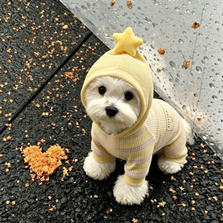狗狗衣服宠物护肚衣比熊泰迪雪纳瑞小型犬秋冬包肚睡衣猫咪四脚衣