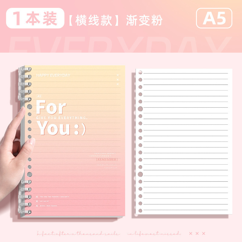 A5 오로라 그라데이션 루스리프 북-핑크