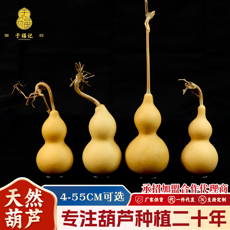 天然素葫芦摆件文玩手捻家居办公室葫芦摆件带龙头通货优选葫芦