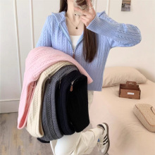 韩系慵懒风麻花连帽拉链针织开衫2025秋新款宽松设计感毛衣女外套