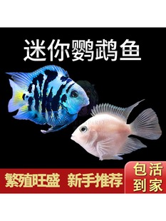 �����W�^�~���w��ˮ�Ꭷ�^�p�~�~�������������{�׽�ֳ�N�~���B