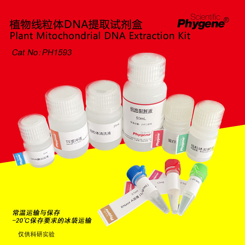 PH1593 植物线粒体DNA提取试剂盒 科研实验专用 Phygene