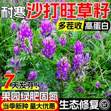 ɳѶݷNӷɳo}|GͺݲݷN